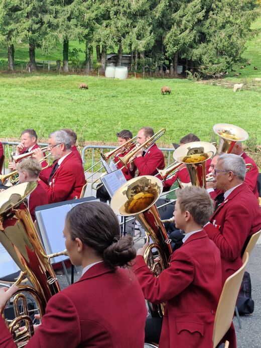 20251019_124324 - Copy